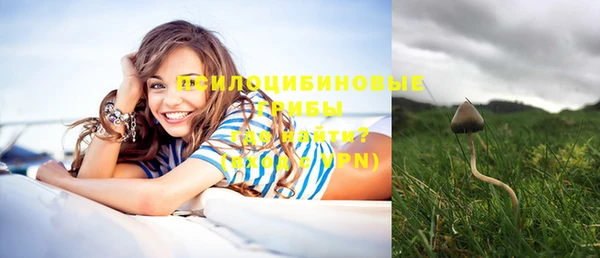 стафф Абаза