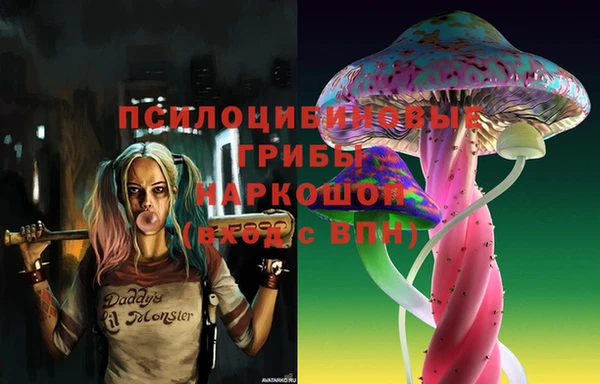стафф Абаза